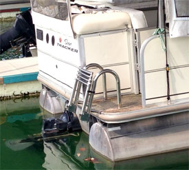 stainless steel pontoon ladder